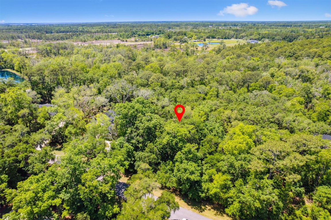 95213 Shell Midden Lane Fernandina Beach, FL 32034 - Photo 1 of 7 Gallery Image 1
