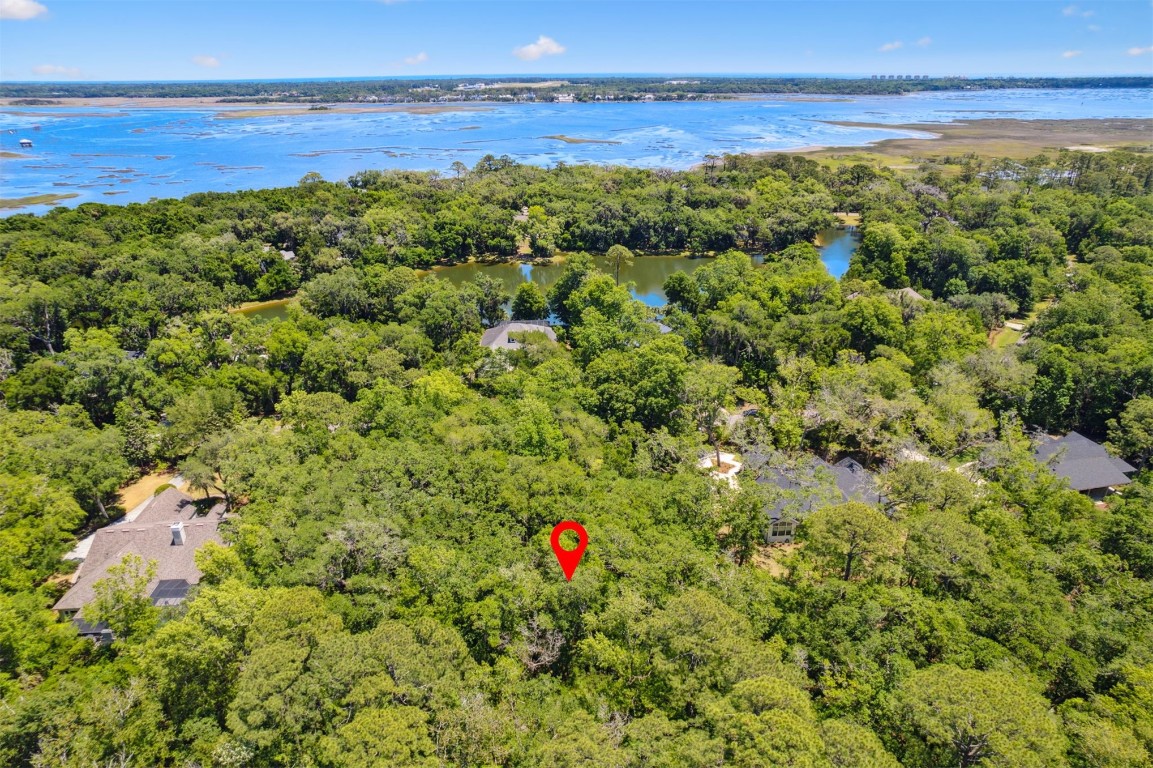 95213 Shell Midden Lane Fernandina Beach, FL 32034 - Photo 4 of 7 Gallery Image 4