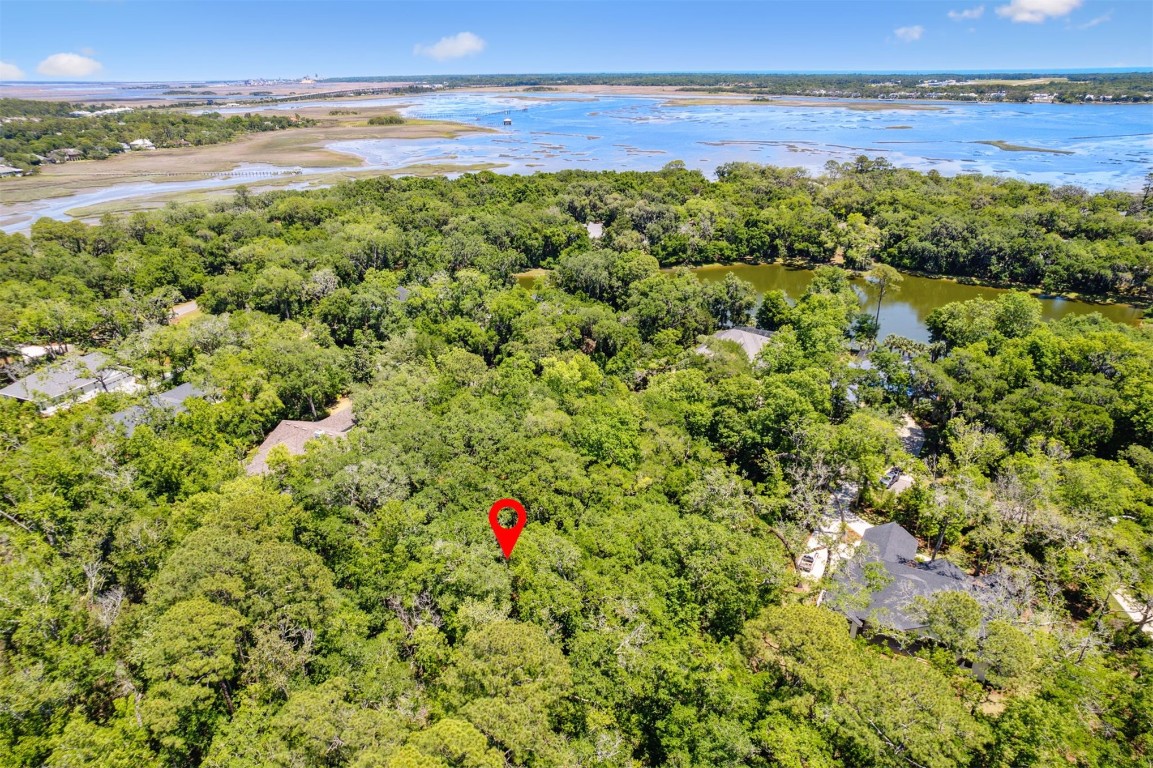 95213 Shell Midden Lane Fernandina Beach, FL 32034 - Photo 5 of 7 Gallery Image 5