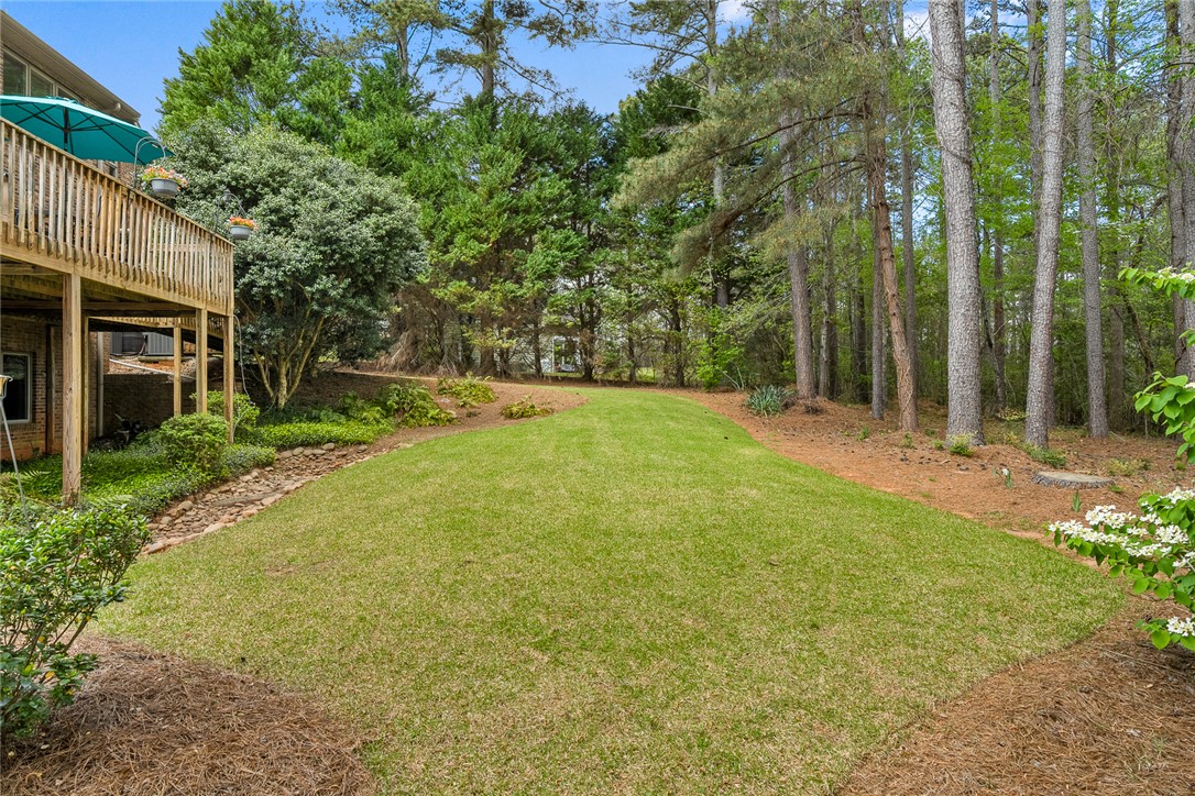 408 Sapphire Court Seneca, SC 29672 - Photo 32 of 49