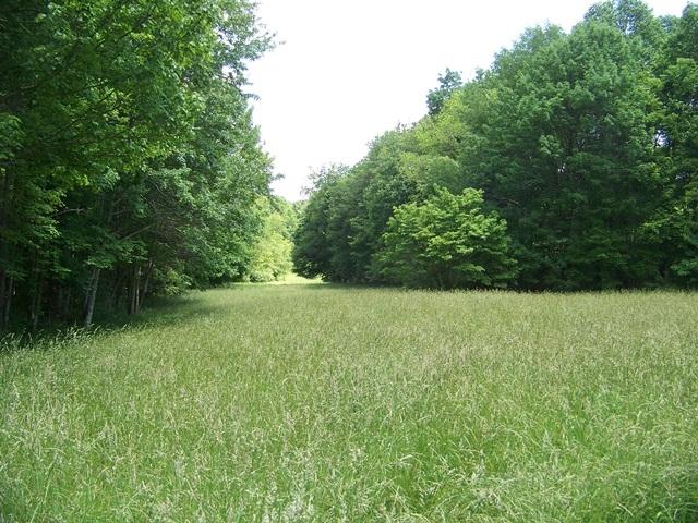 6581 Zenith Road Waiteville, WV 24984 - Photo 9 of 57 Gallery Image 9