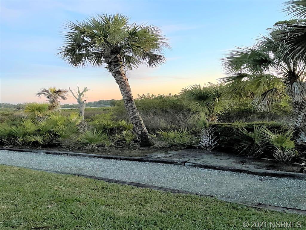 765 Navigators Way Edgewater, FL 32141 - Photo 3 of 34 a view of a yard with plants