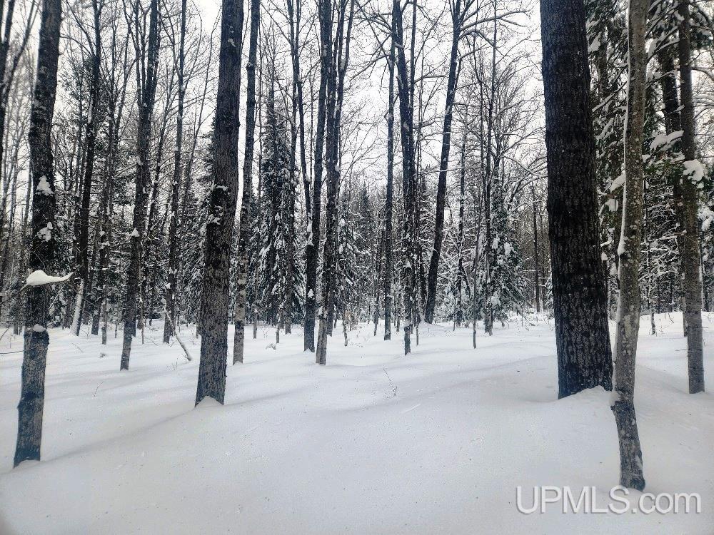 Tbd Oss Road, Unit 40 ACRES Crystal Falls, MI 49920 - Photo 10 of 18 Gallery Image 10