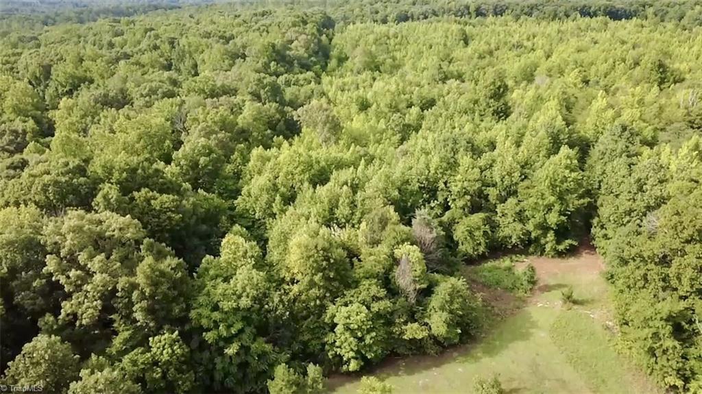 0 Farmer Road Denton, NC 27239 - Photo 11 of 19