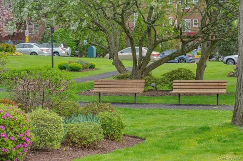 a view of garden with trees