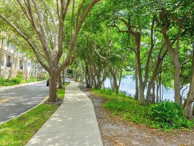 a park with large trees
