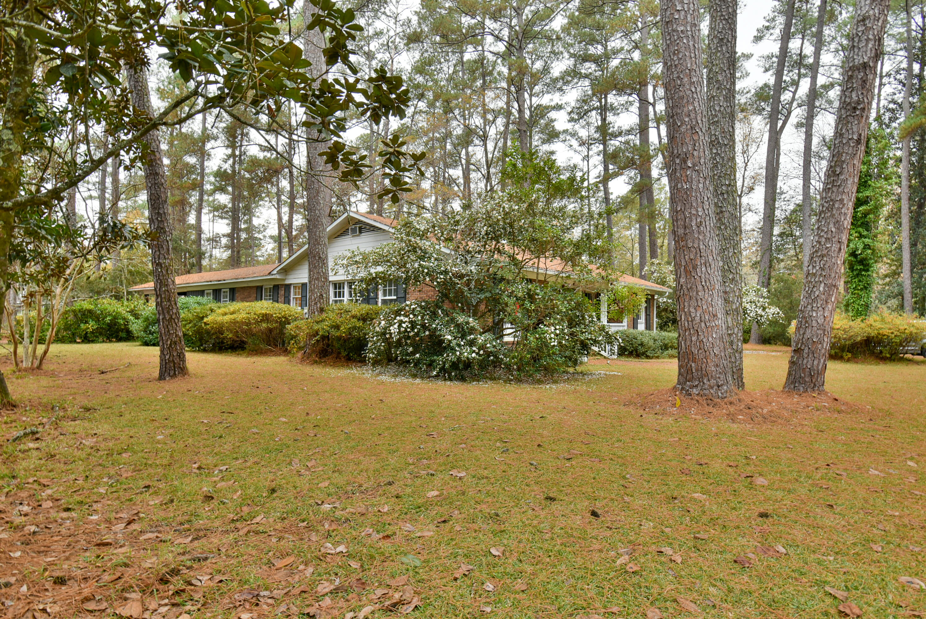 201 Fenwick Road Walterboro, SC 29488 - Photo 1 of 36 DSC_0735