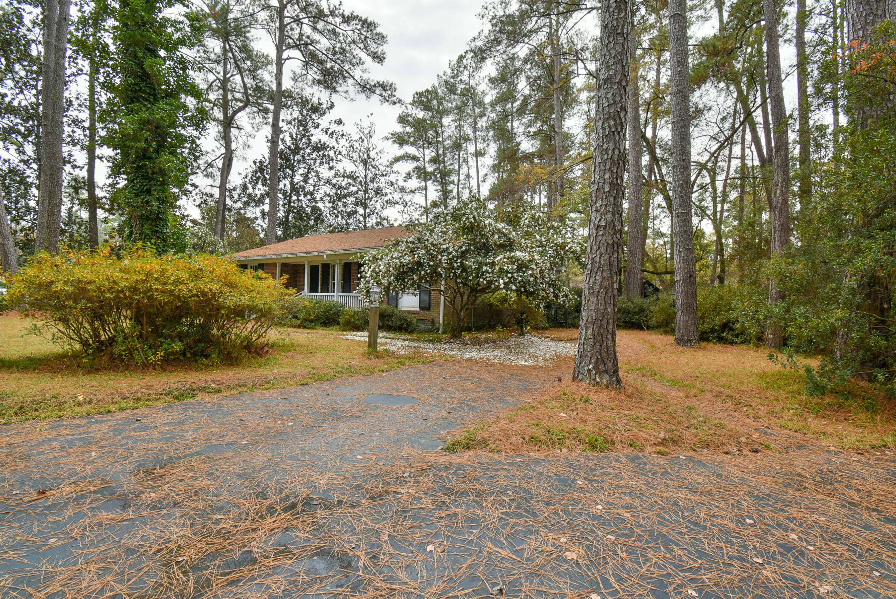 201 Fenwick Road Walterboro, SC 29488 - Photo 12 of 36 DSC_0743