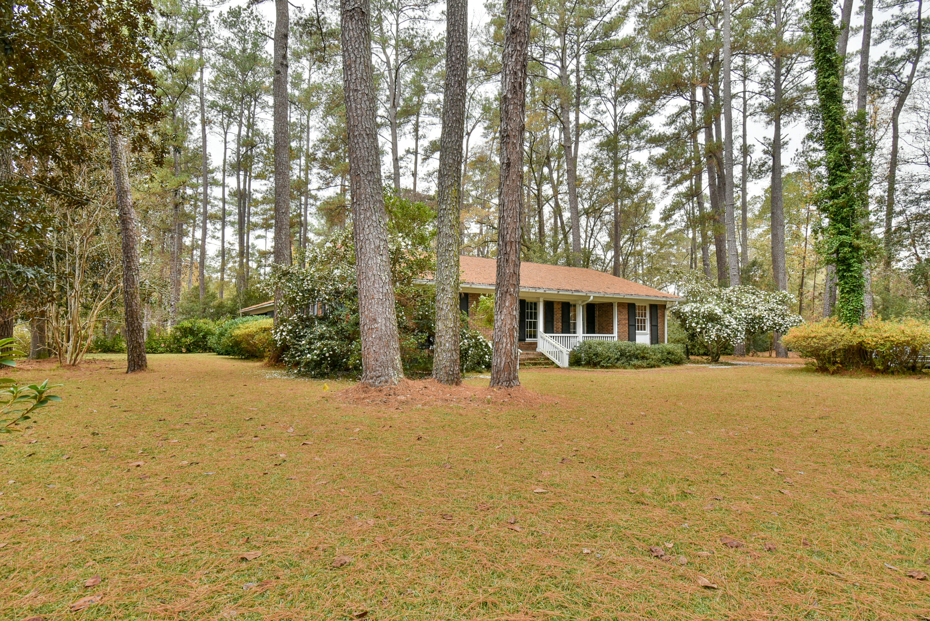 201 Fenwick Road Walterboro, SC 29488 - Photo 4 of 36 DSC_0734