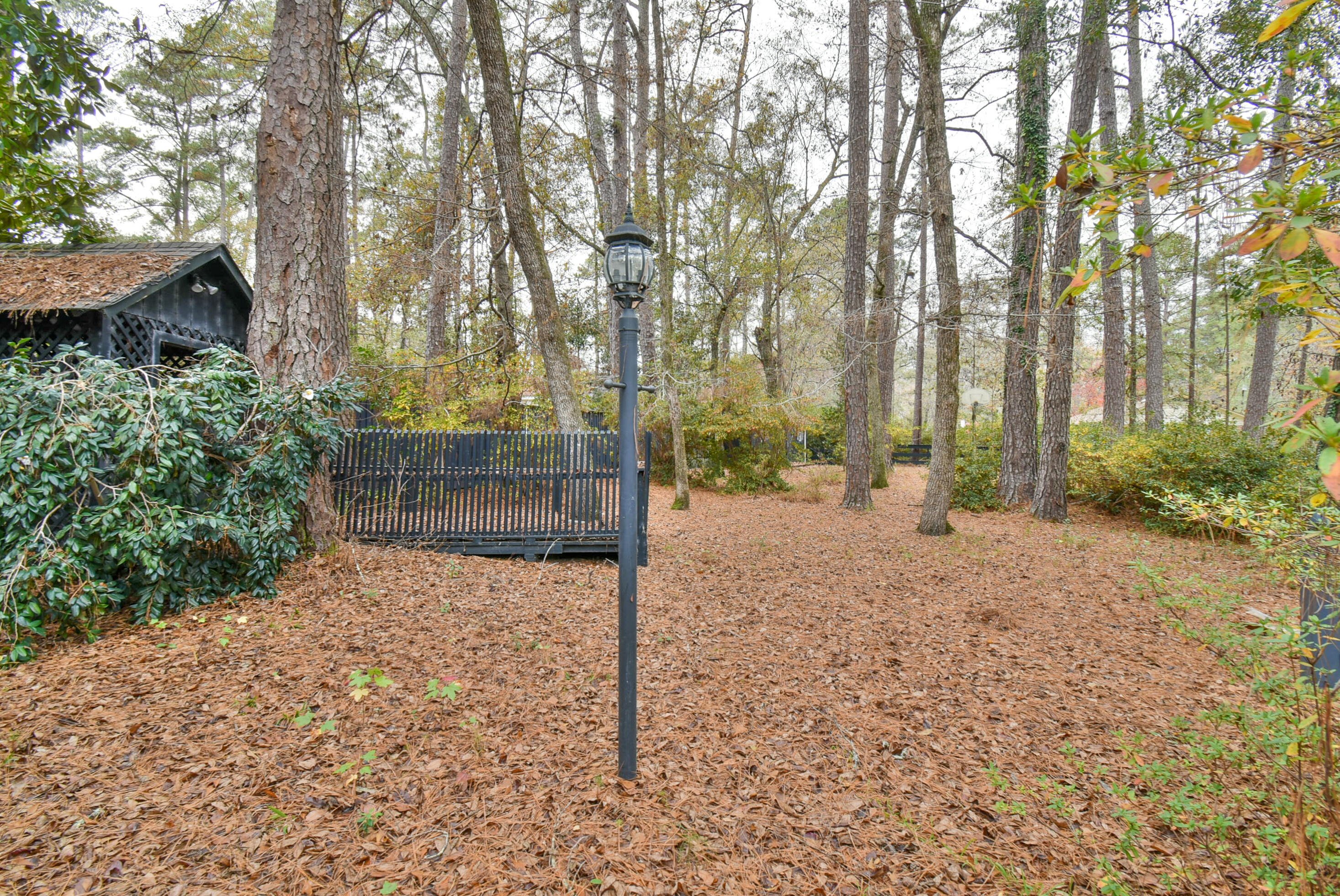 201 Fenwick Road Walterboro, SC 29488 - Photo 8 of 36 DSC_0739