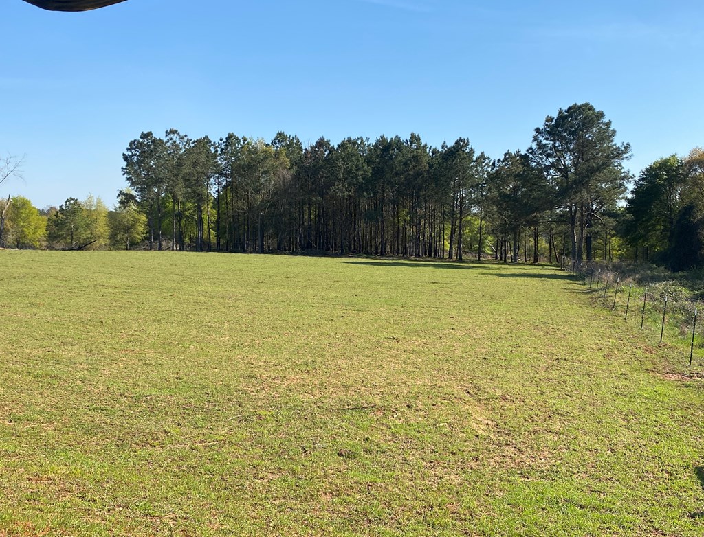 0 Co Road Abbeville, AL 36310 - Photo 13 of 53