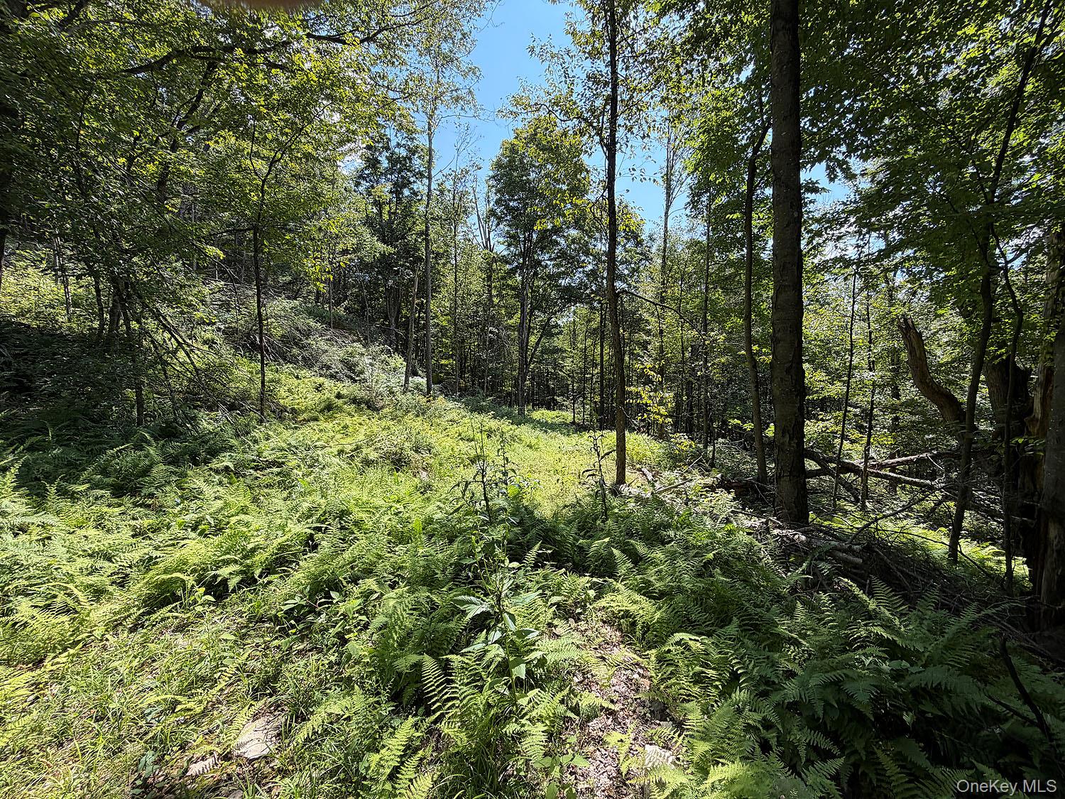 Hammer Road Hankins, NY 12736 - Photo 20 of 29 Gallery Image 20