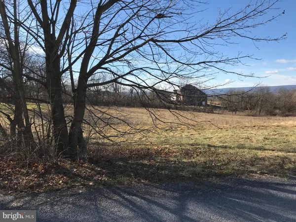 a view of a yard next to a yard