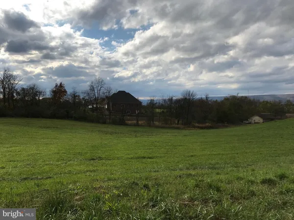 a view of a field of grass and trees