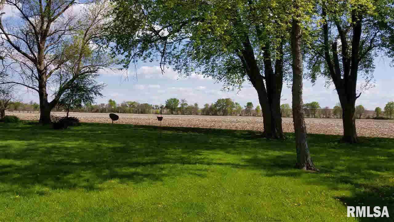 385 West Main Street Letts, IA 52754 - Photo 4 of 4 Gallery Image 4