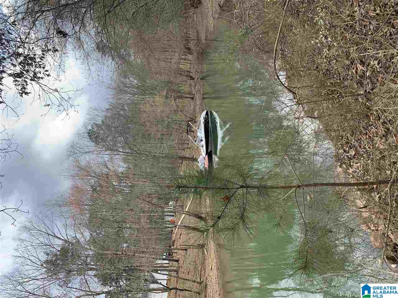 0 Long Point Road, Unit 156/157 Double Springs, AL 35553 - Photo 3 of 6