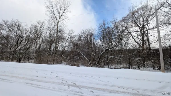 $119,500 | 0 Pompey Hollow Road, Cazenovia, NY 13035