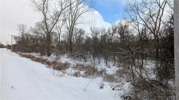 $119,500 | 0 Pompey Hollow Road, Cazenovia, NY 13035