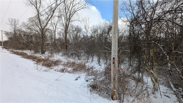 $119,500 | 0 Pompey Hollow Road, Cazenovia, NY 13035