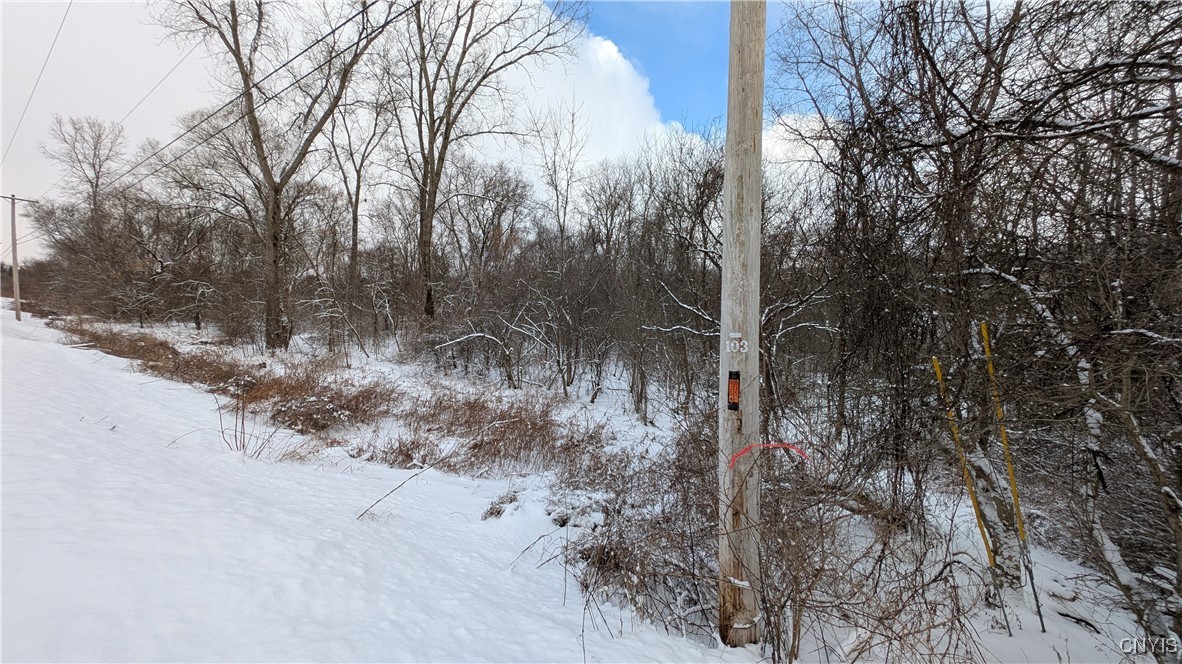 0 Pompey Hollow Road Cazenovia, NY 13035 - Photo 13 of 13