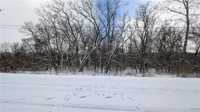 $119,500 | 0 Pompey Hollow Road, Cazenovia, NY 13035