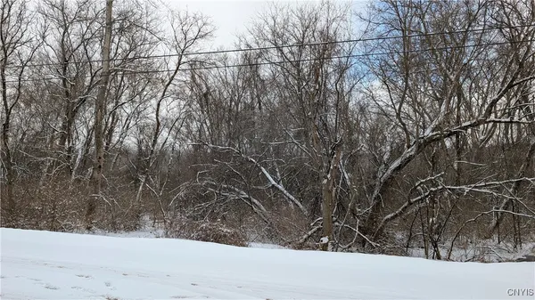 $119,500 | 0 Pompey Hollow Road, Cazenovia, NY 13035