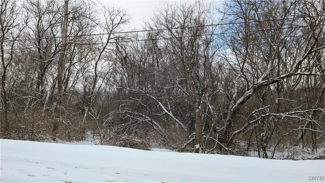 $119,500 | 0 Pompey Hollow Road, Cazenovia, NY 13035