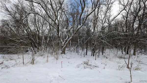 $119,500 | 0 Pompey Hollow Road, Cazenovia, NY 13035