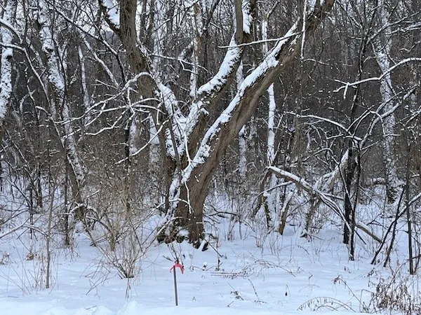 $119,500 | 0 Pompey Hollow Road, Cazenovia, NY 13035