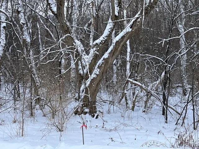 $119,500 | 0 Pompey Hollow Road, Cazenovia, NY 13035