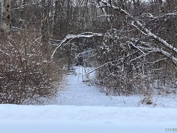 $119,500 | 0 Pompey Hollow Road, Cazenovia, NY 13035