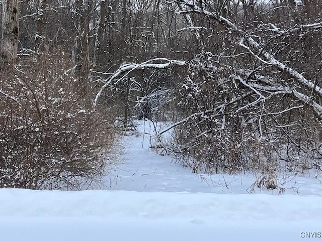 $119,500 | 0 Pompey Hollow Road, Cazenovia, NY 13035