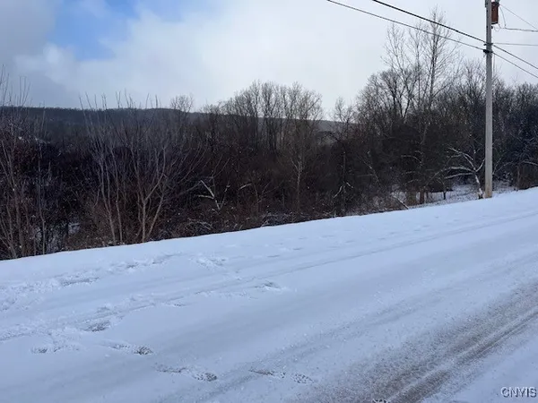 $119,500 | 0 Pompey Hollow Road, Cazenovia, NY 13035