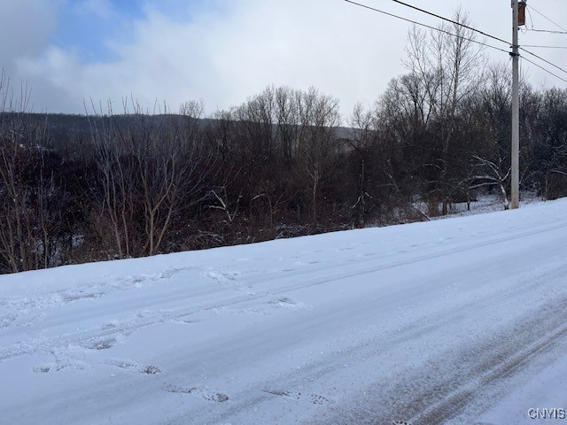 0 Pompey Hollow Road Cazenovia, NY 13035 - Photo 8 of 13