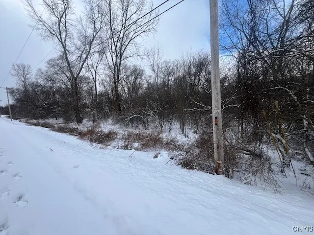 $119,500 | 0 Pompey Hollow Road, Cazenovia, NY 13035