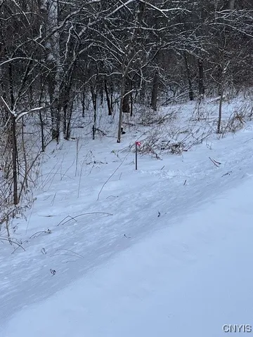 $119,500 | 0 Pompey Hollow Road, Cazenovia, NY 13035