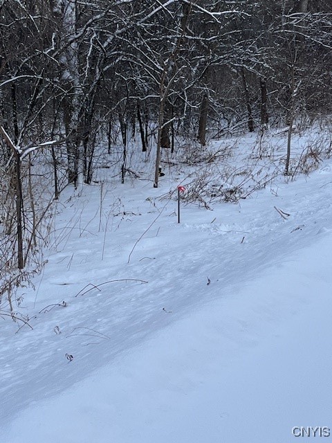 0 Pompey Hollow Road Cazenovia, NY 13035 - Photo 10 of 13