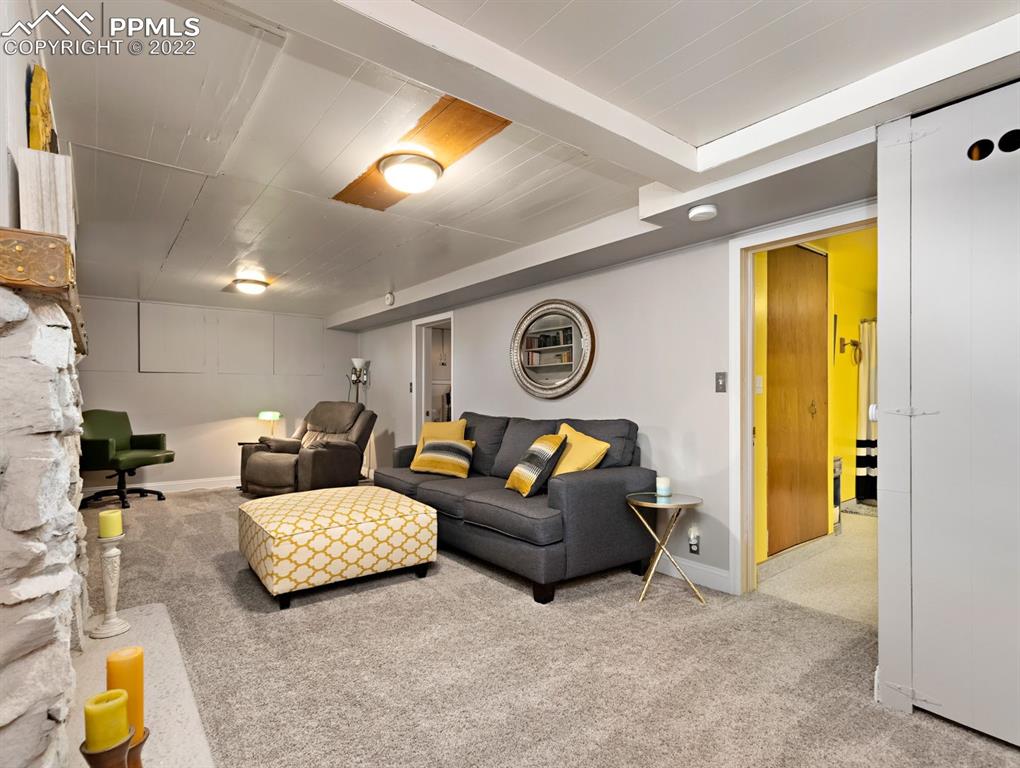 28021 Everett Road Pueblo, CO 81006 - Photo 24 of 43 Basement family room