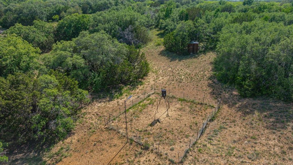 136 Moose Trail Ranger, TX 76470 - Photo 22 of 40 a view of a yard with plants and a tree