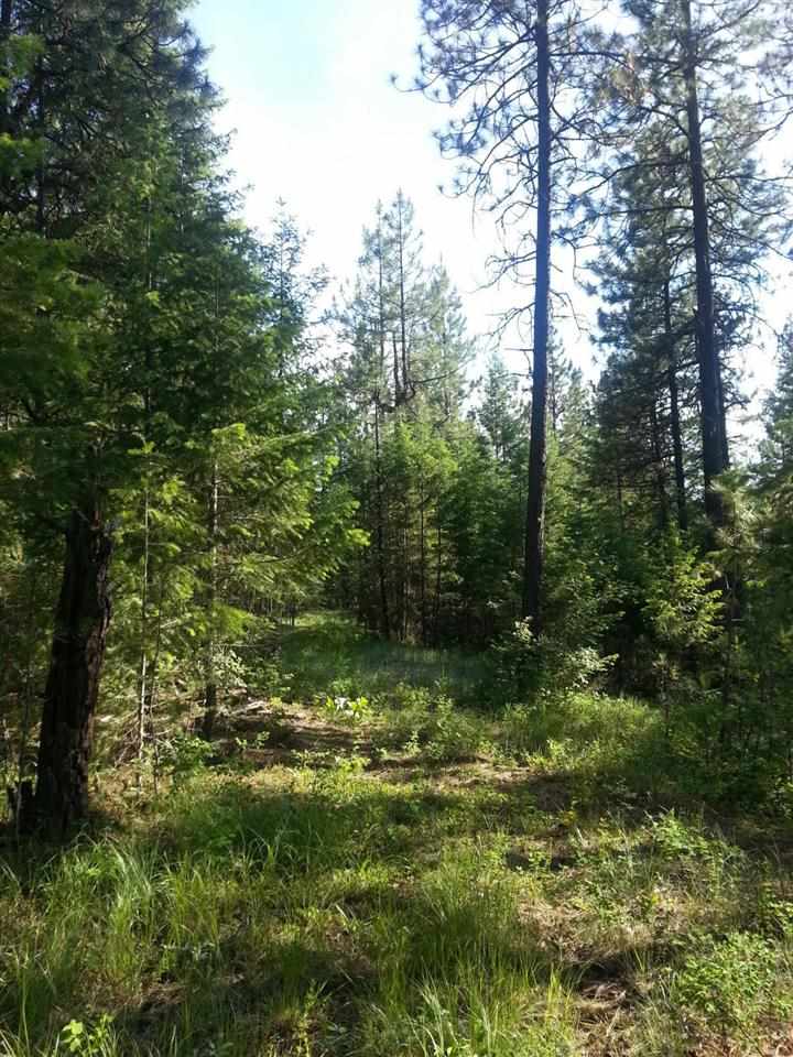 0 Solokar Road Valley, WA 99181 - Photo 1 of 1