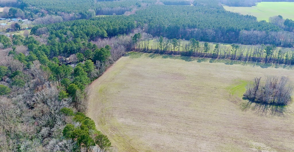 10 Fletcher Road, Unit 10 Stanardsville, VA 22973 - Photo 4 of 8