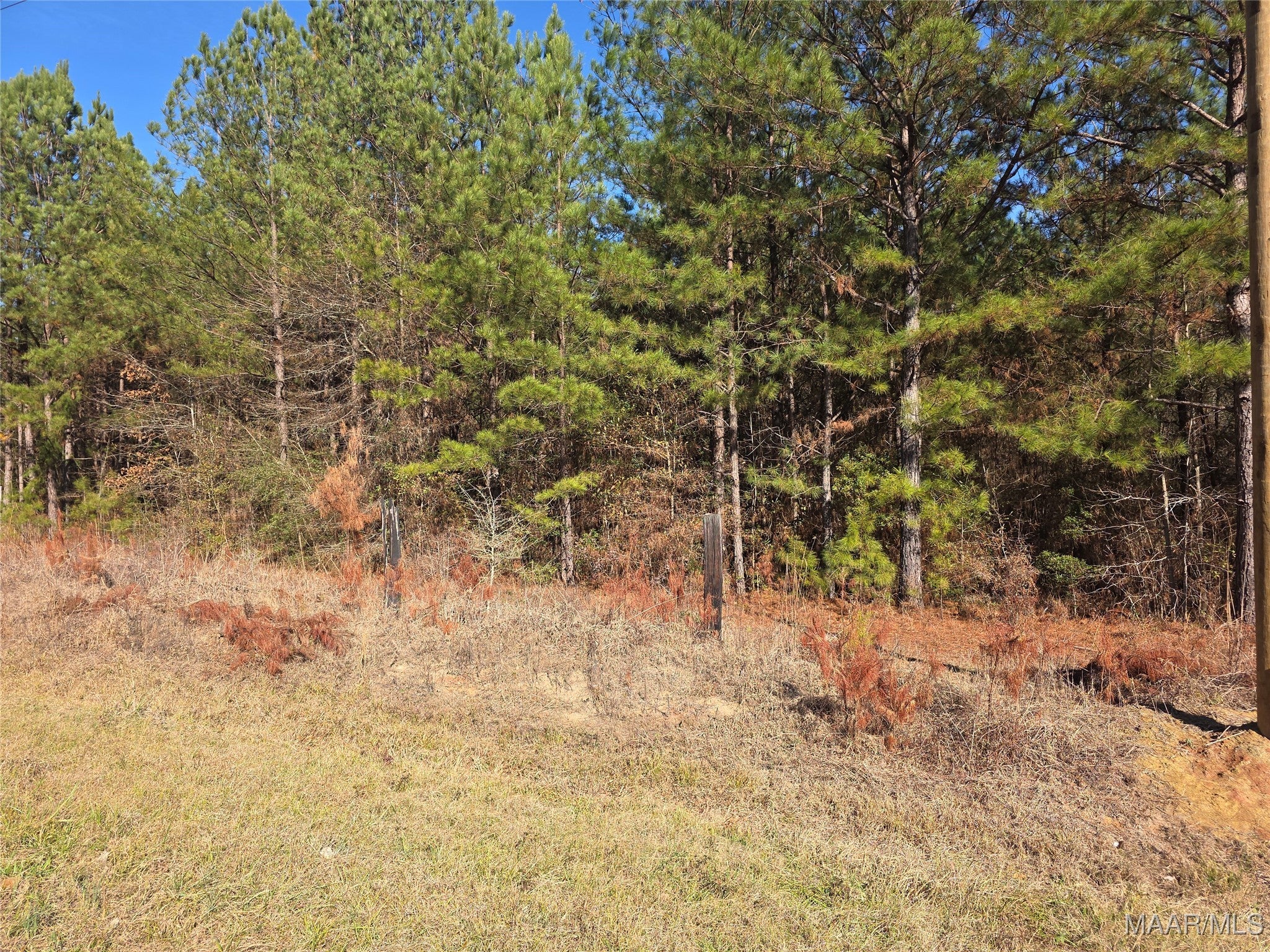 Beautiful and ready to build your new home!