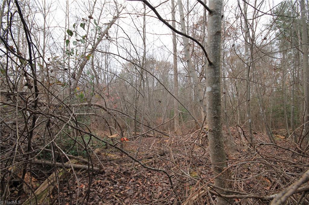 Tbd Jarvis Plantation Road Dobson, NC 27017 - Photo 11 of 18 Gallery Image 11