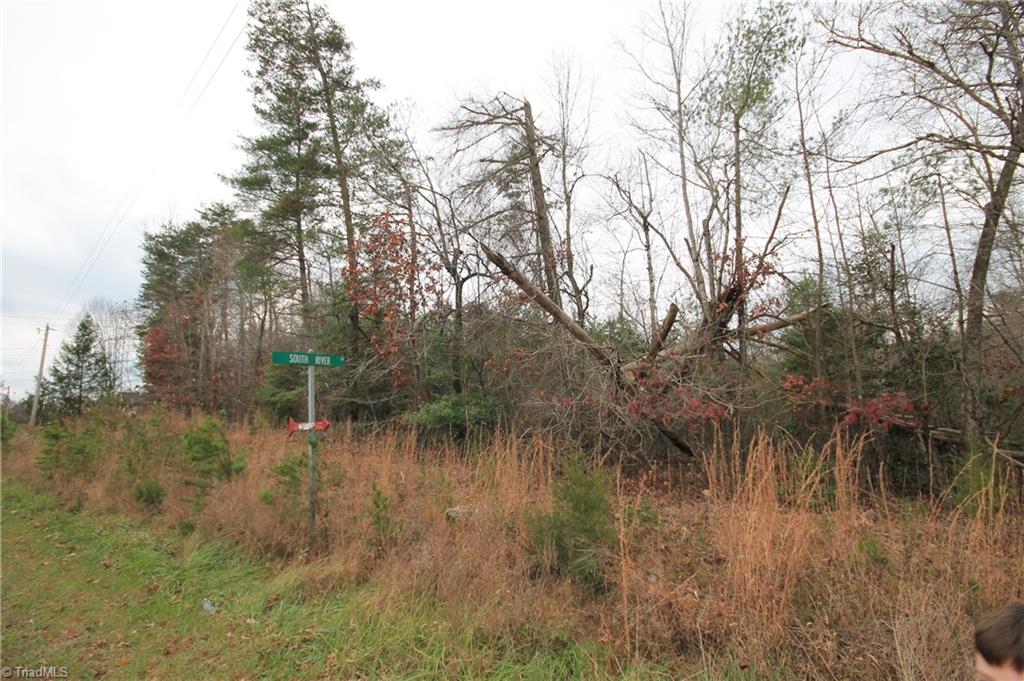 Tbd Jarvis Plantation Road Dobson, NC 27017 - Photo 12 of 18 Gallery Image 12