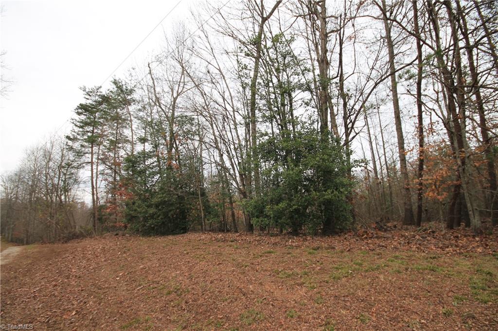 Tbd Jarvis Plantation Road Dobson, NC 27017 - Photo 13 of 18 Gallery Image 13