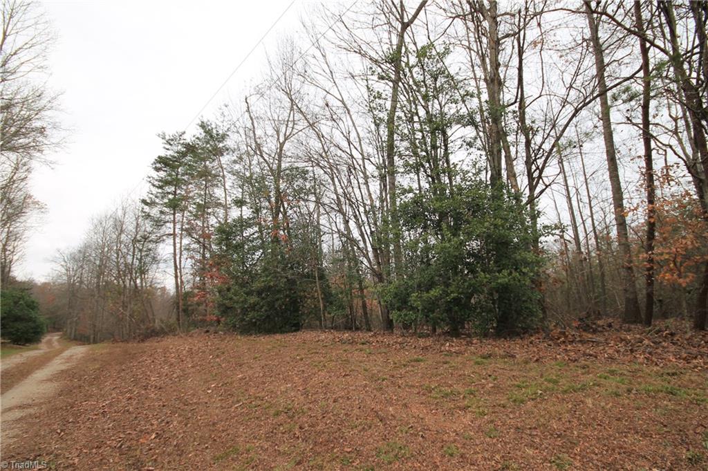 Tbd Jarvis Plantation Road Dobson, NC 27017 - Photo 14 of 18 Gallery Image 14