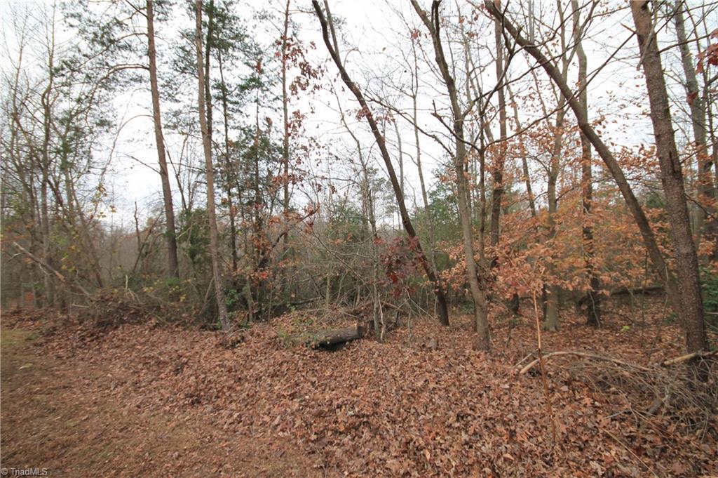 Tbd Jarvis Plantation Road Dobson, NC 27017 - Photo 15 of 18 Gallery Image 15