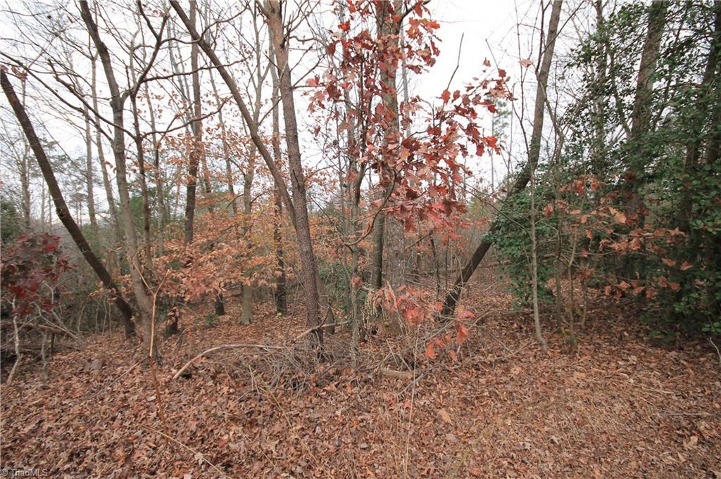 Tbd Jarvis Plantation Road Dobson, NC 27017 - Photo 16 of 18 Gallery Image 16