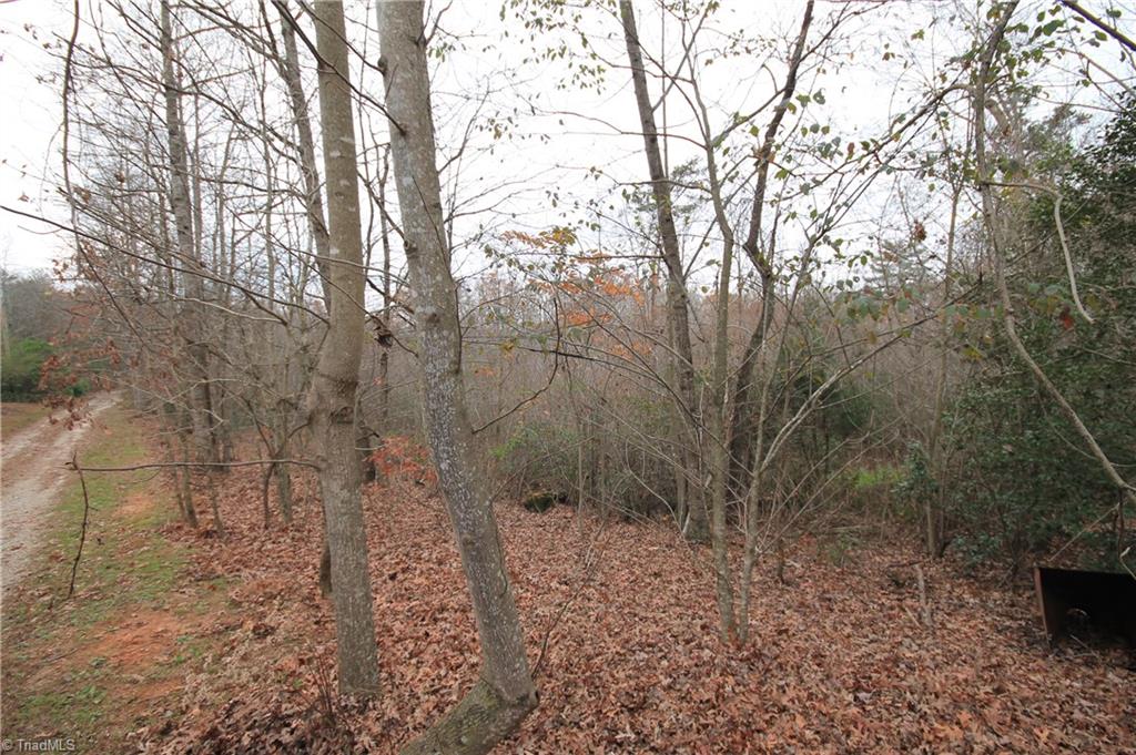 Tbd Jarvis Plantation Road Dobson, NC 27017 - Photo 17 of 18 Gallery Image 17