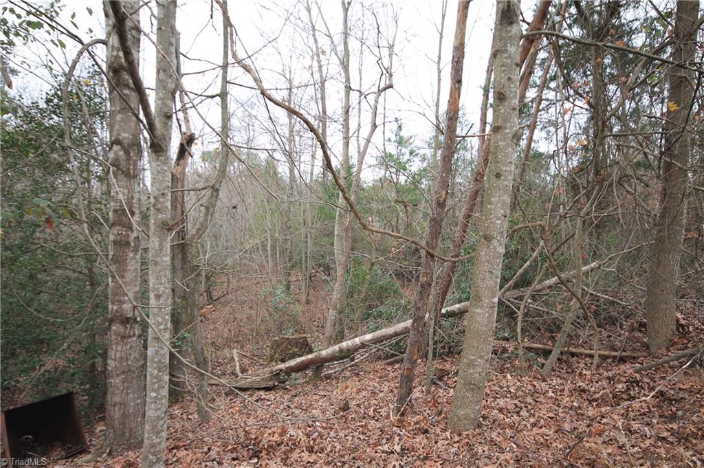 Tbd Jarvis Plantation Road Dobson, NC 27017 - Photo 18 of 18 Gallery Image 18
